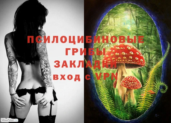 COCAINE Ладушкин