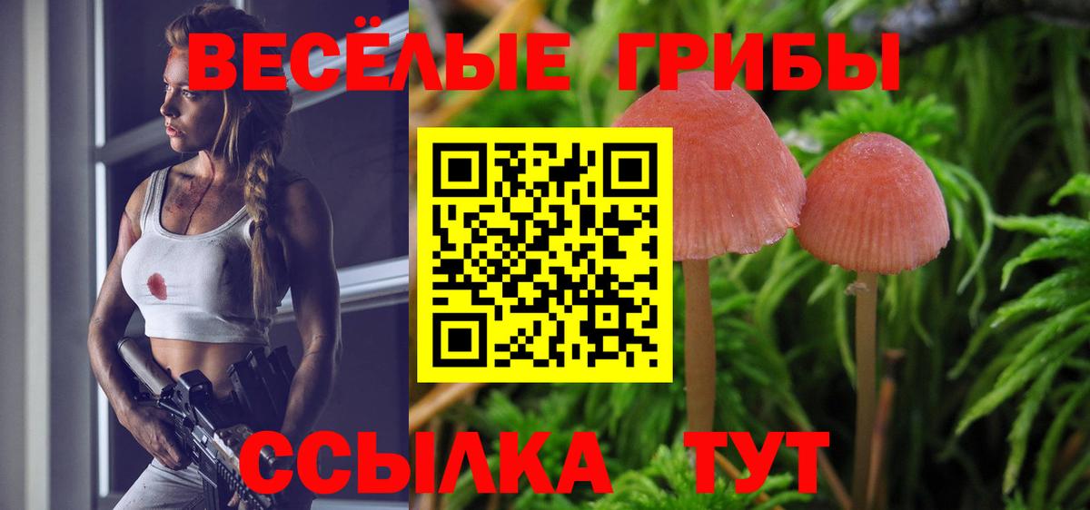 Галлюциногенные грибы мицелий  Вход с VPN  Галлюциногенные грибы мицелий  хочу наркоту  Бийск 