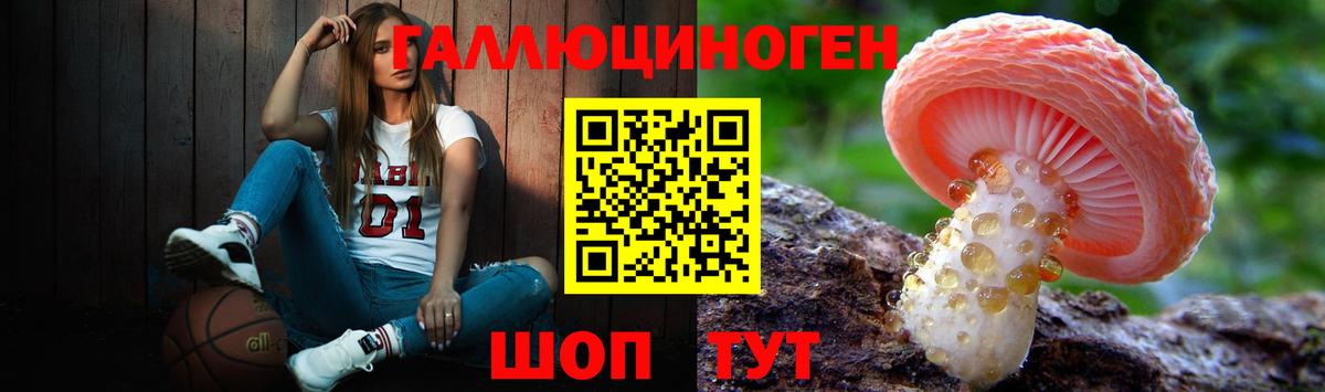 Галлюциногенные грибы Psilocybine cubensis  купить наркотик  Бийск 