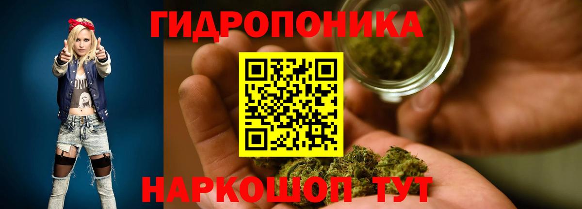 Конопля гибрид  Вход с VPN  Шишки марихуана THC 21%  Конопля план  Бийск 